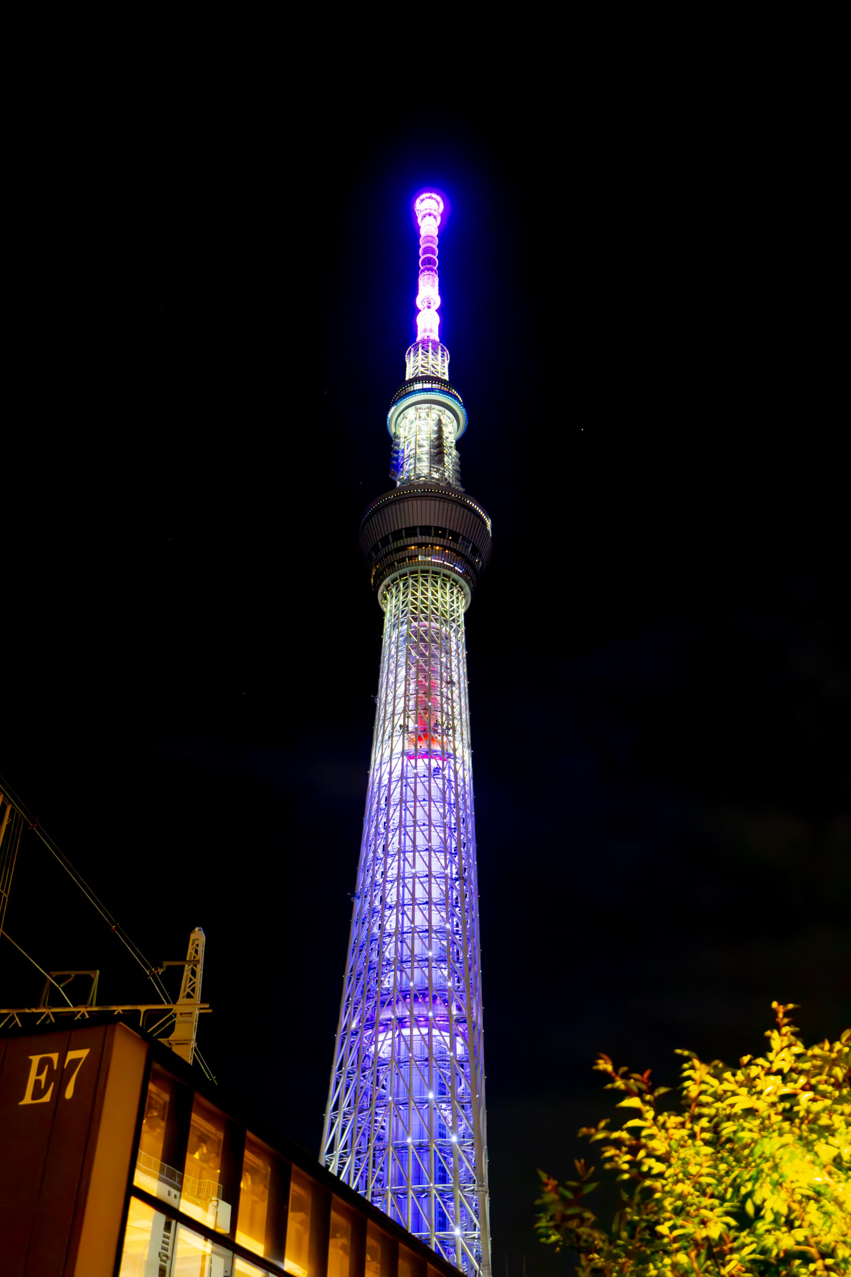 緑、黄、白、青のグラデーションにライトアップされた東京スカイツリーと手前の街灯に照らされた並木。プロのカメラマンによる鮮明な夜間景観撮影